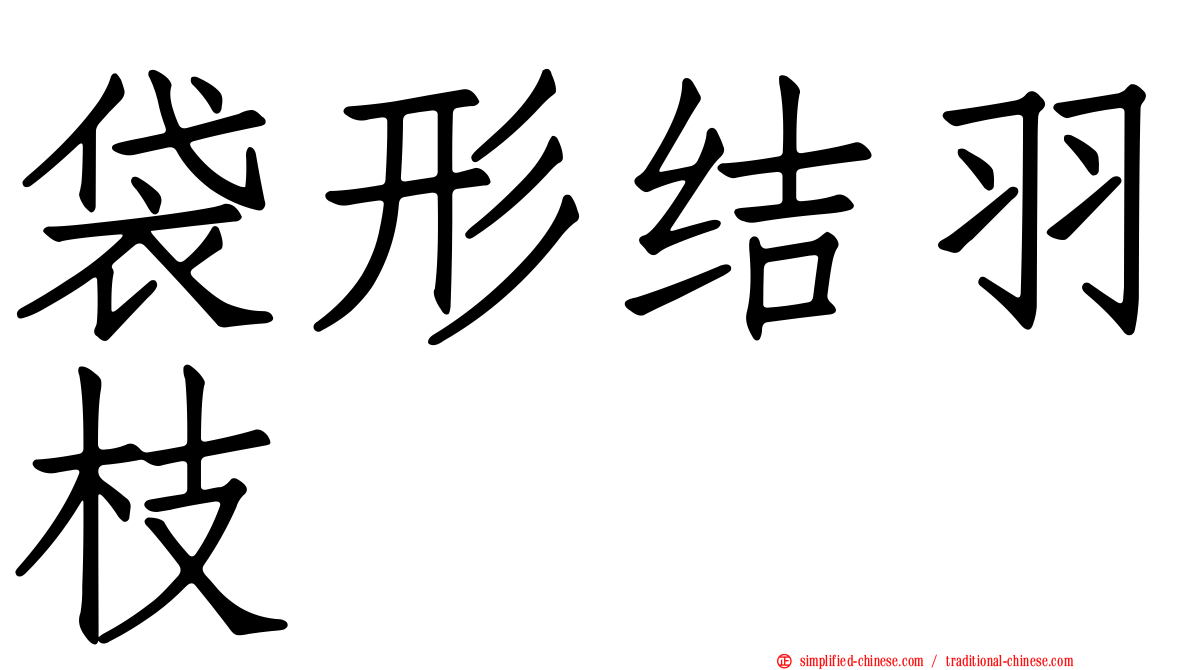袋形结羽枝