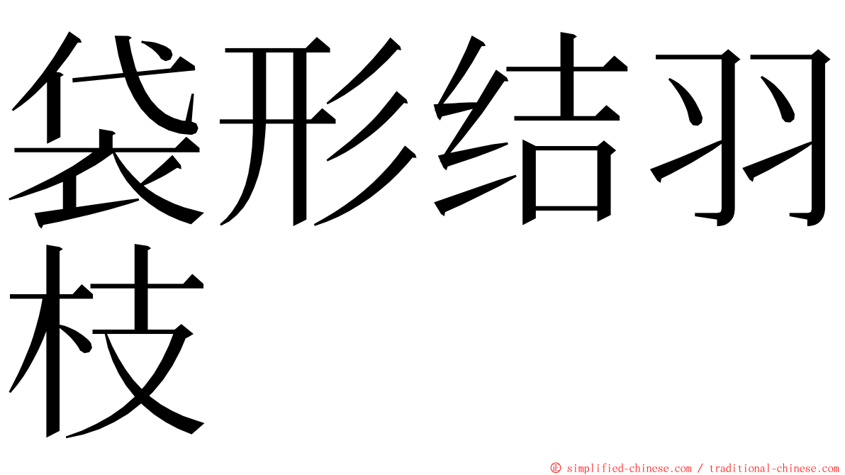 袋形结羽枝 ming font
