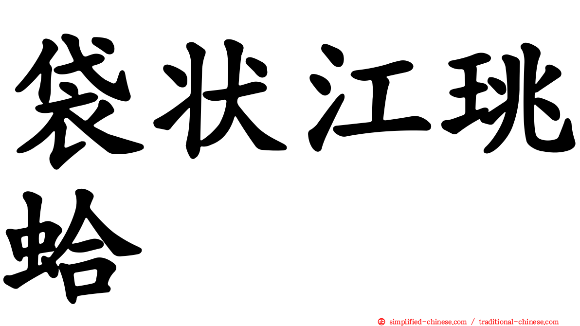 袋状江珧蛤