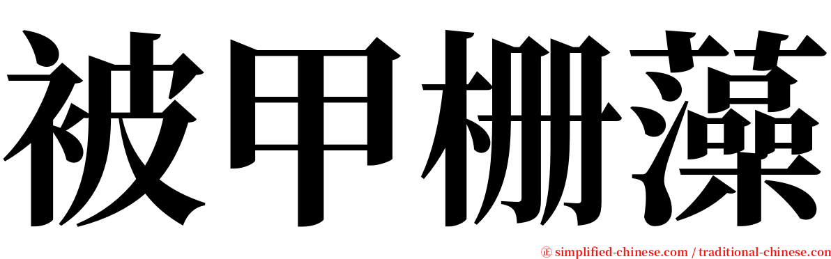 被甲栅藻 serif font