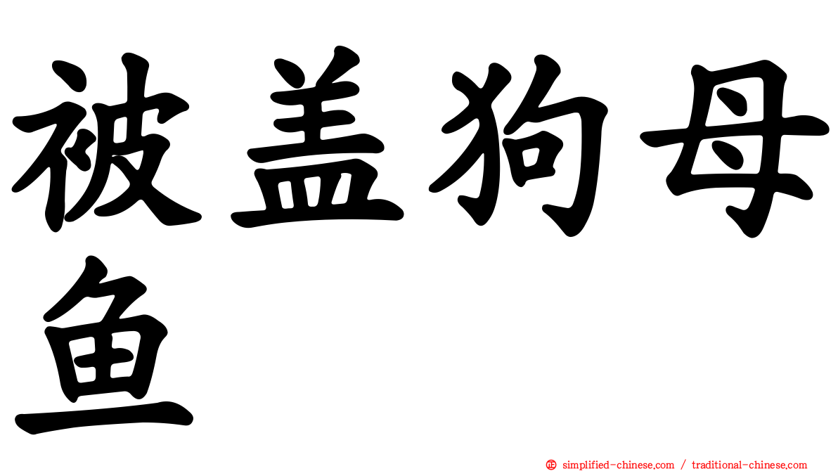 被盖狗母鱼