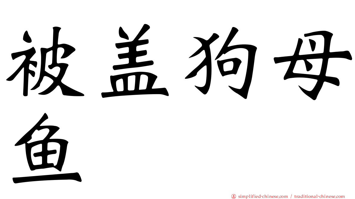 被盖狗母鱼