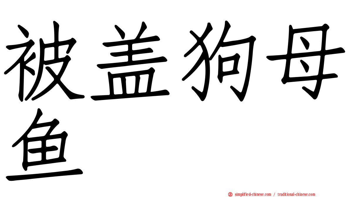 被盖狗母鱼