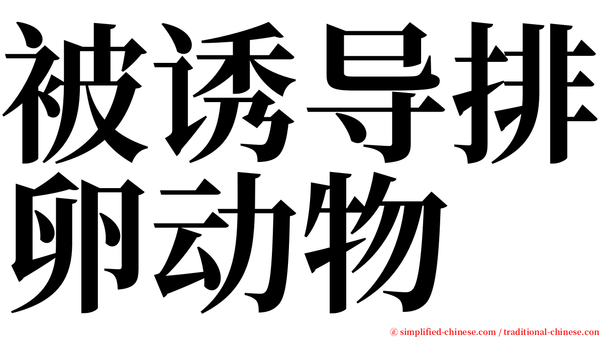 被诱导排卵动物 serif font