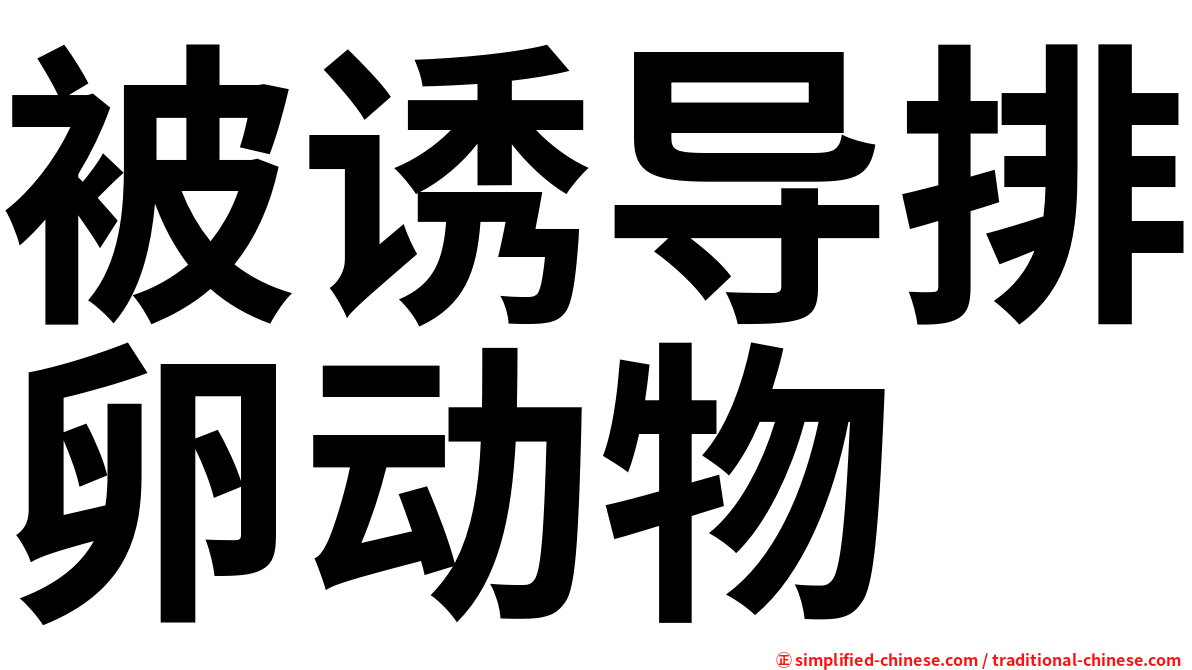 被诱导排卵动物