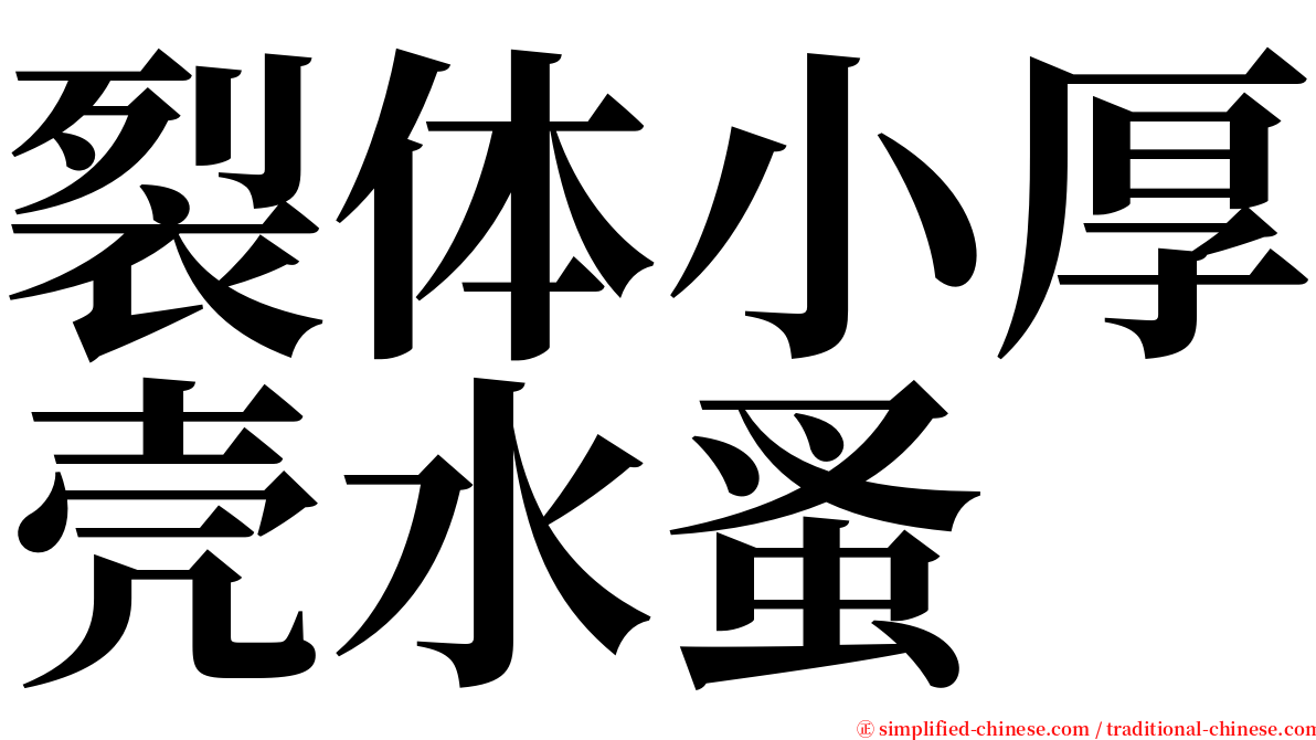 裂体小厚壳水蚤 serif font
