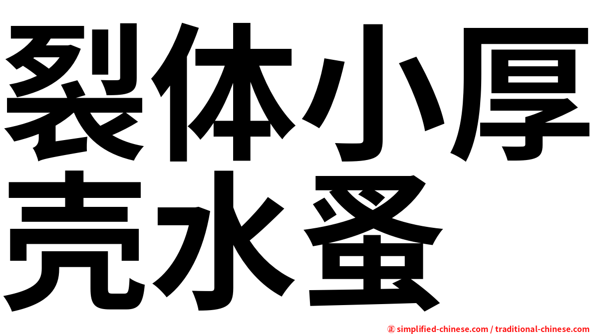 裂体小厚壳水蚤