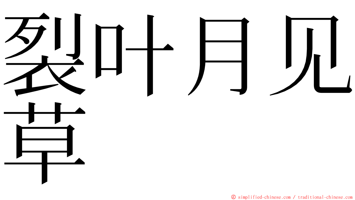 裂叶月见草 ming font