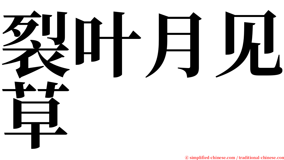 裂叶月见草 serif font