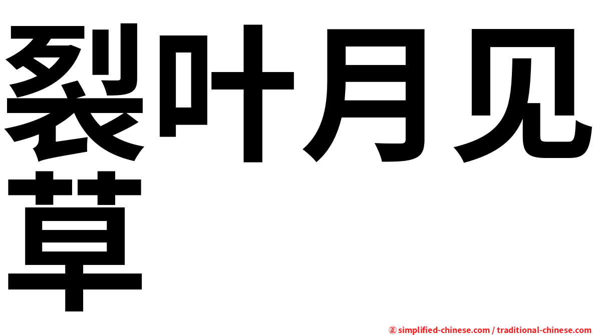 裂叶月见草