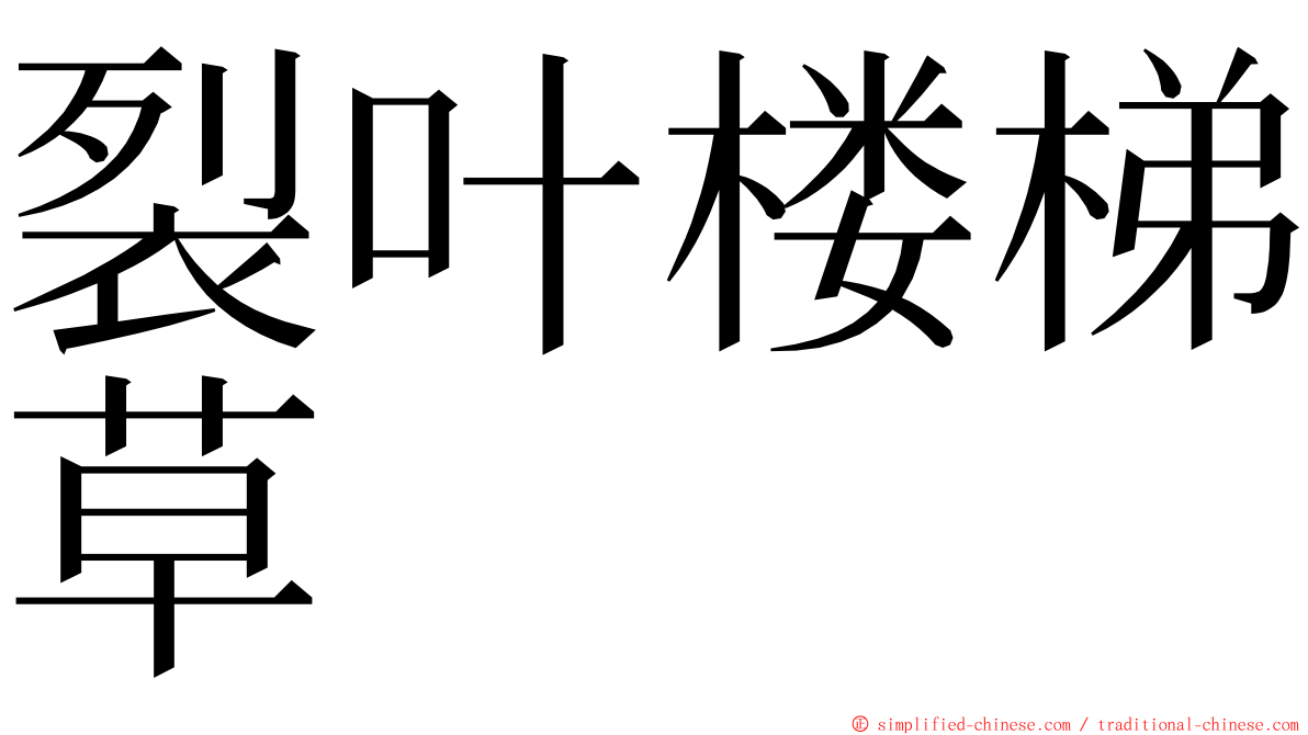 裂叶楼梯草 ming font