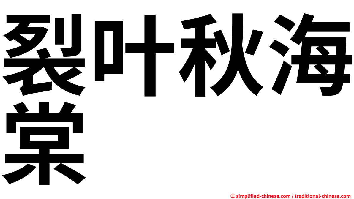 裂叶秋海棠