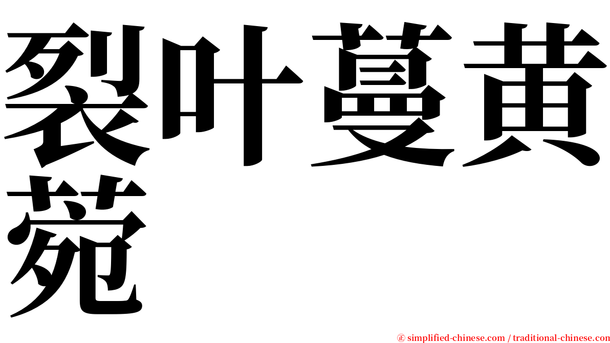裂叶蔓黄菀 serif font