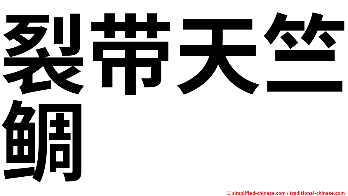 裂带天竺鲷