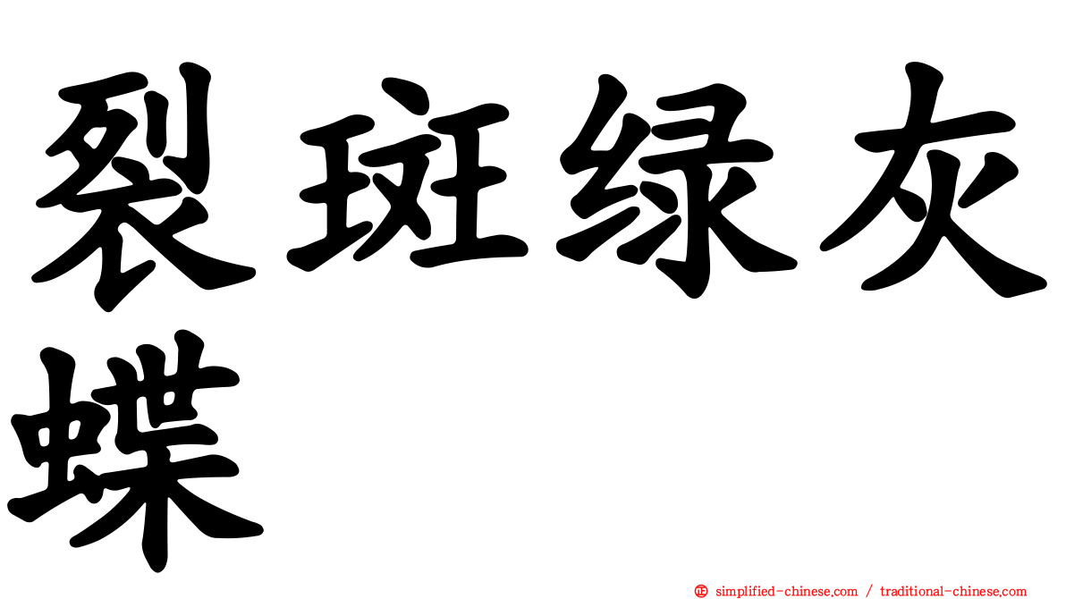裂斑绿灰蝶