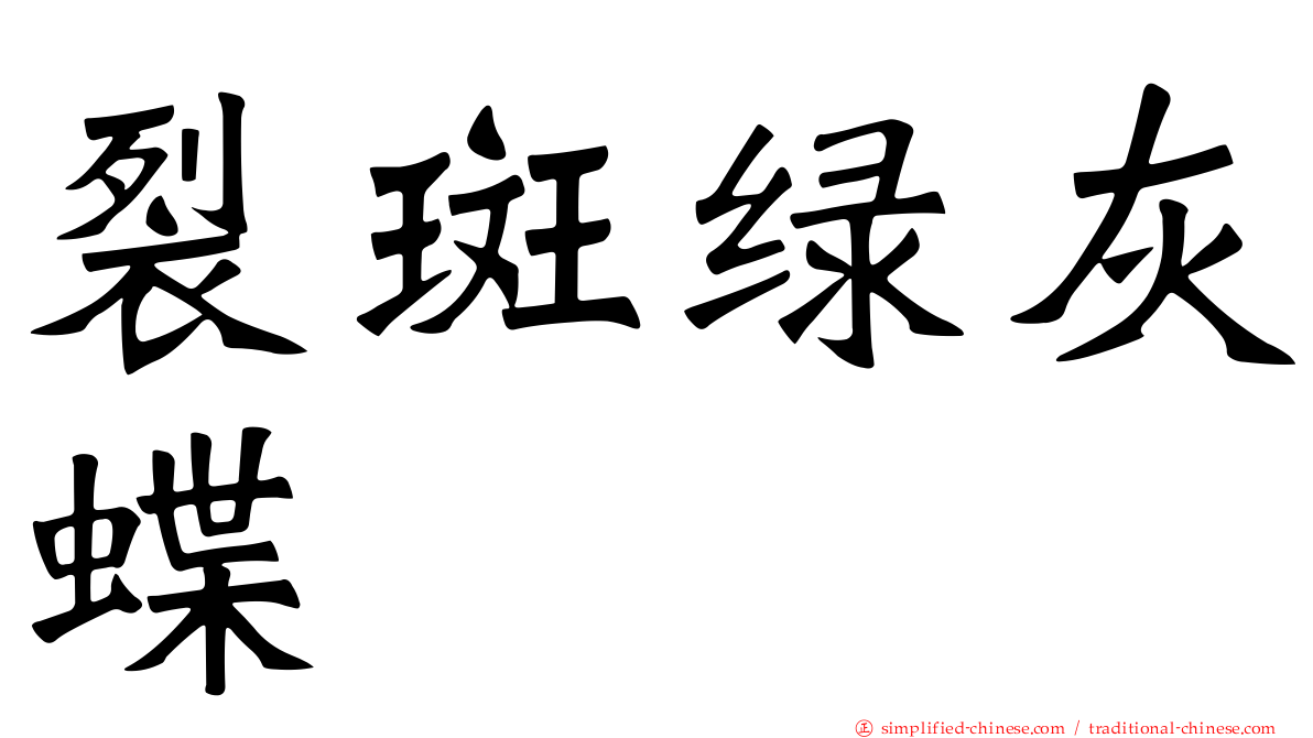 裂斑绿灰蝶
