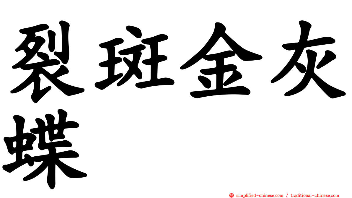裂斑金灰蝶
