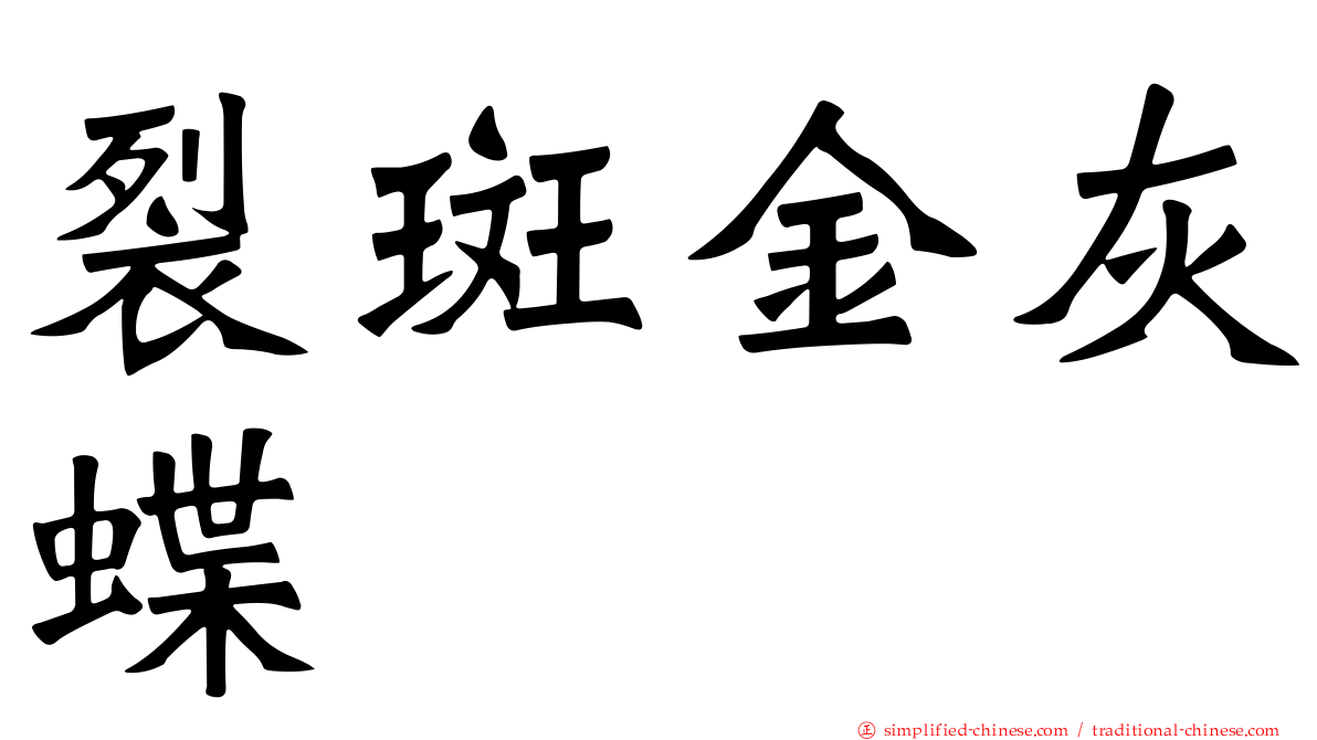 裂斑金灰蝶