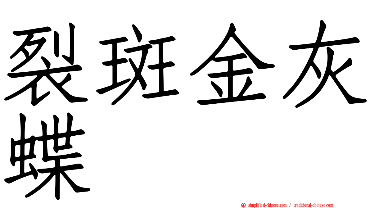 裂斑金灰蝶
