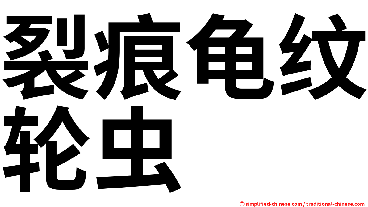 裂痕龟纹轮虫