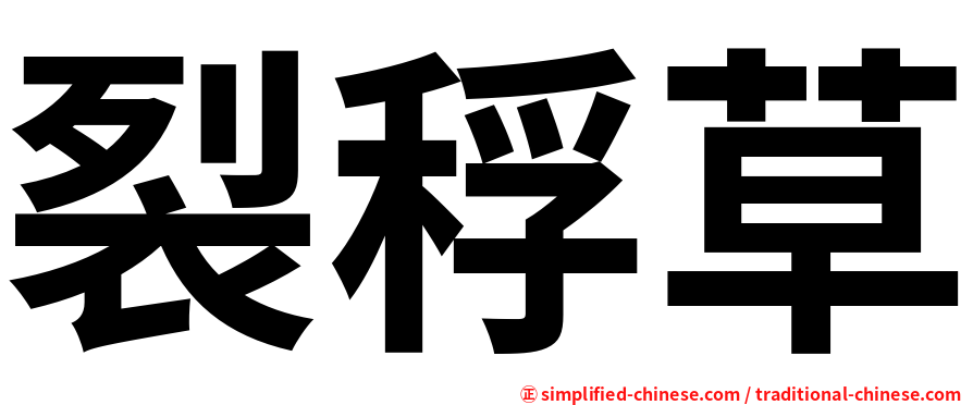 裂稃草
