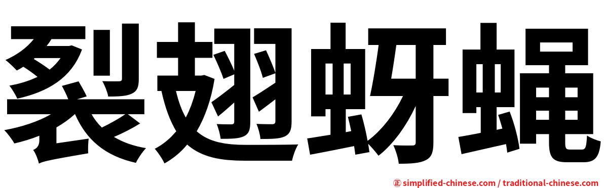 裂翅蚜蝇