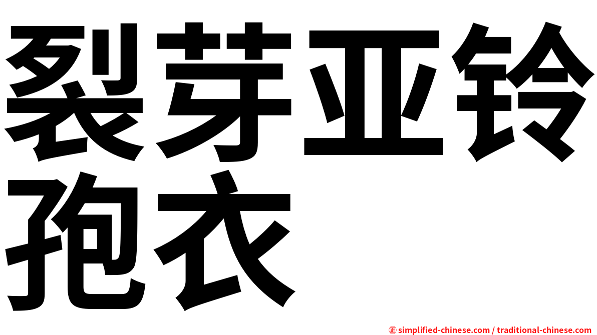裂芽亚铃孢衣