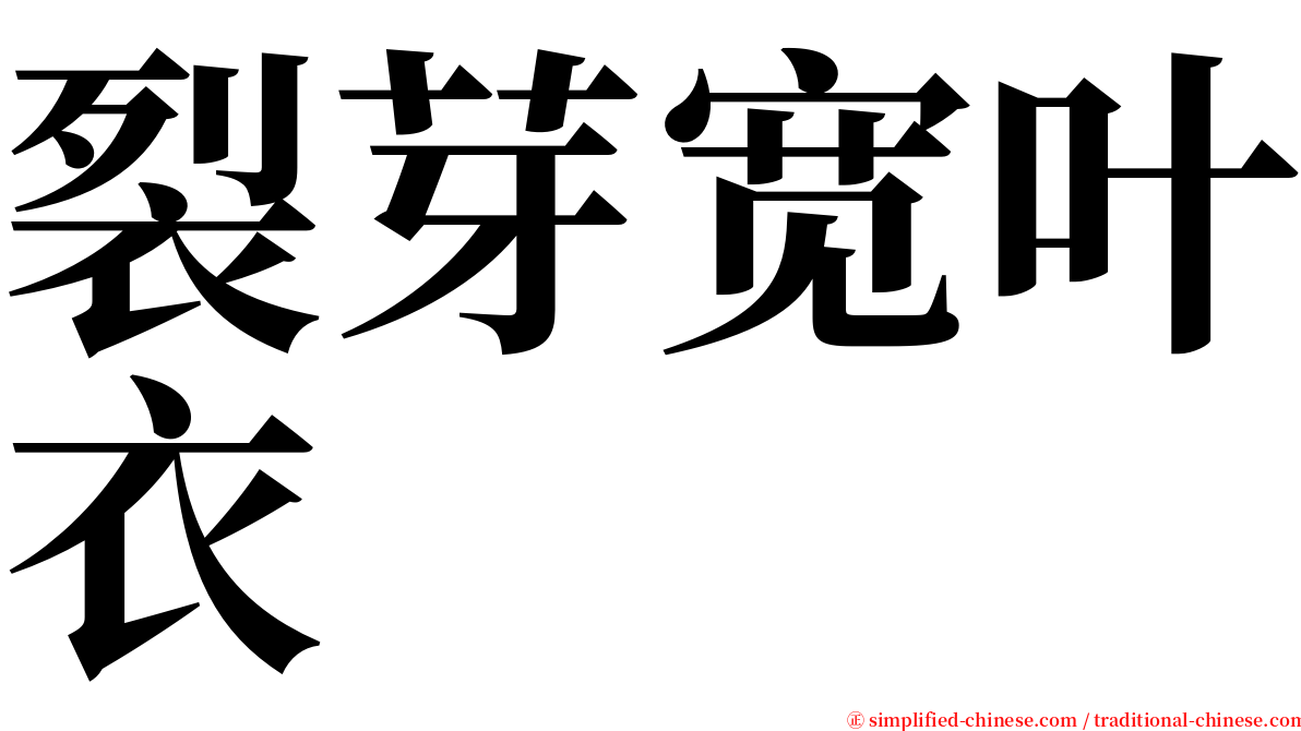 裂芽宽叶衣 serif font