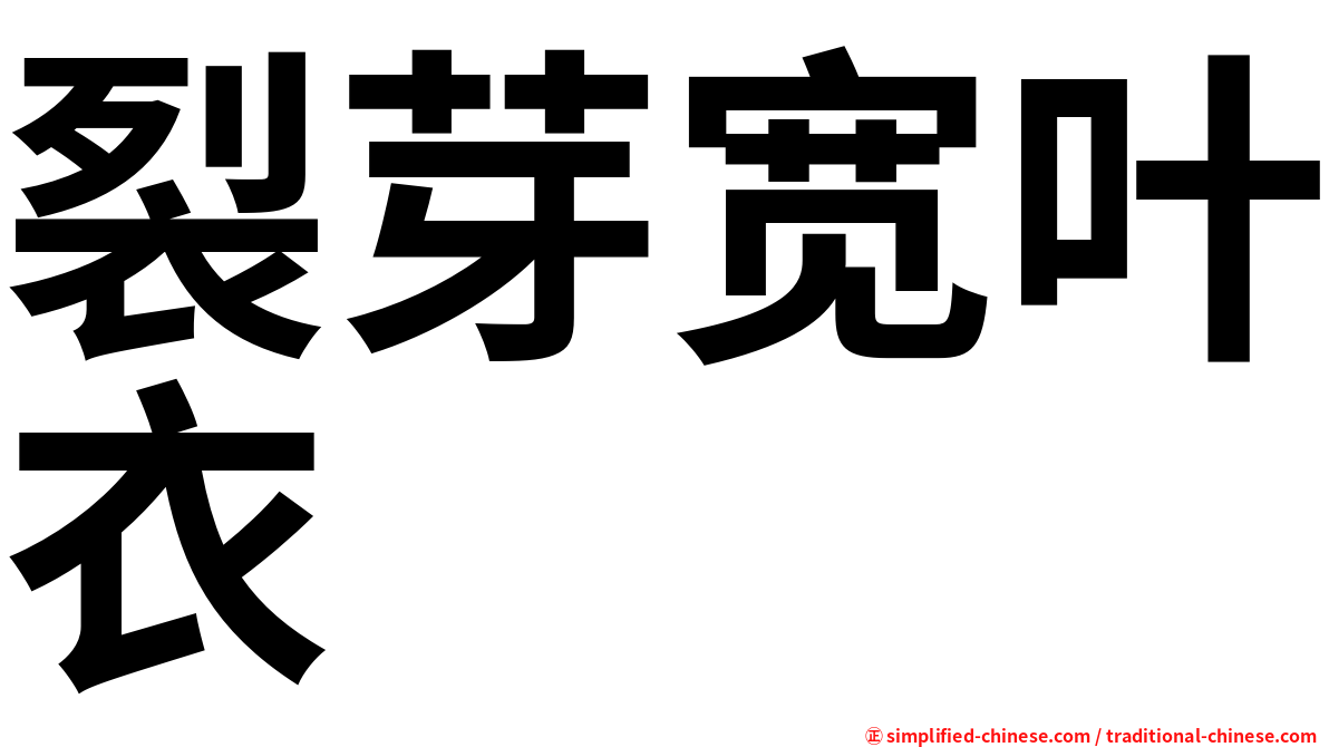 裂芽宽叶衣