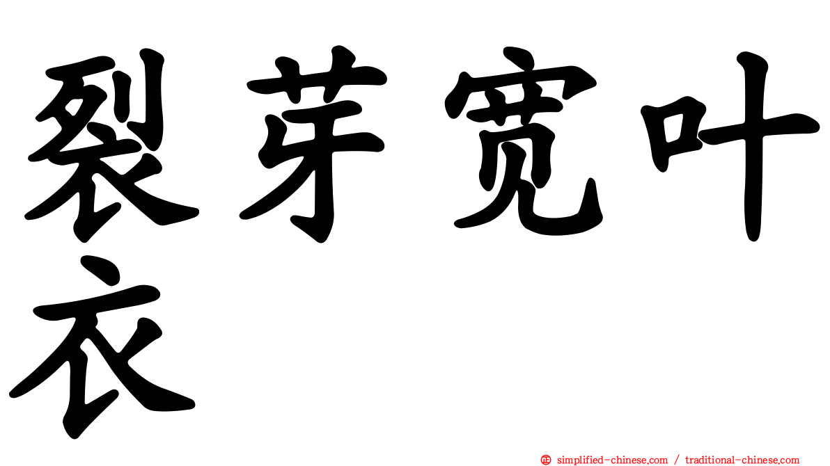 裂芽宽叶衣