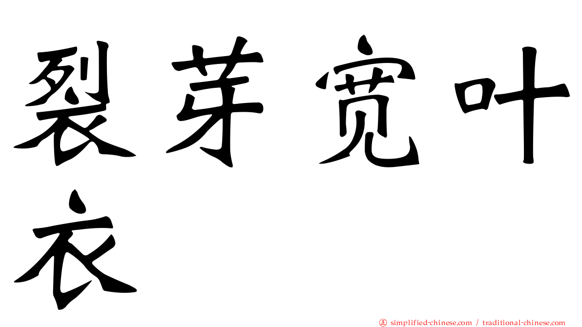 裂芽宽叶衣