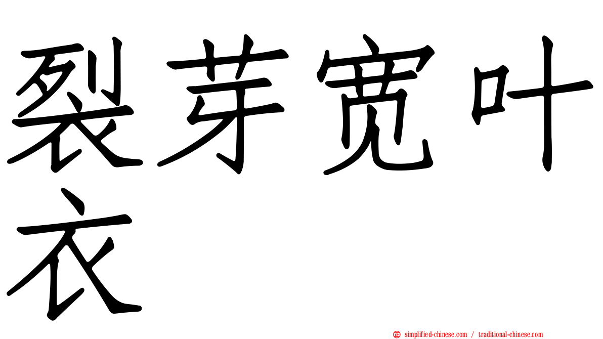 裂芽宽叶衣