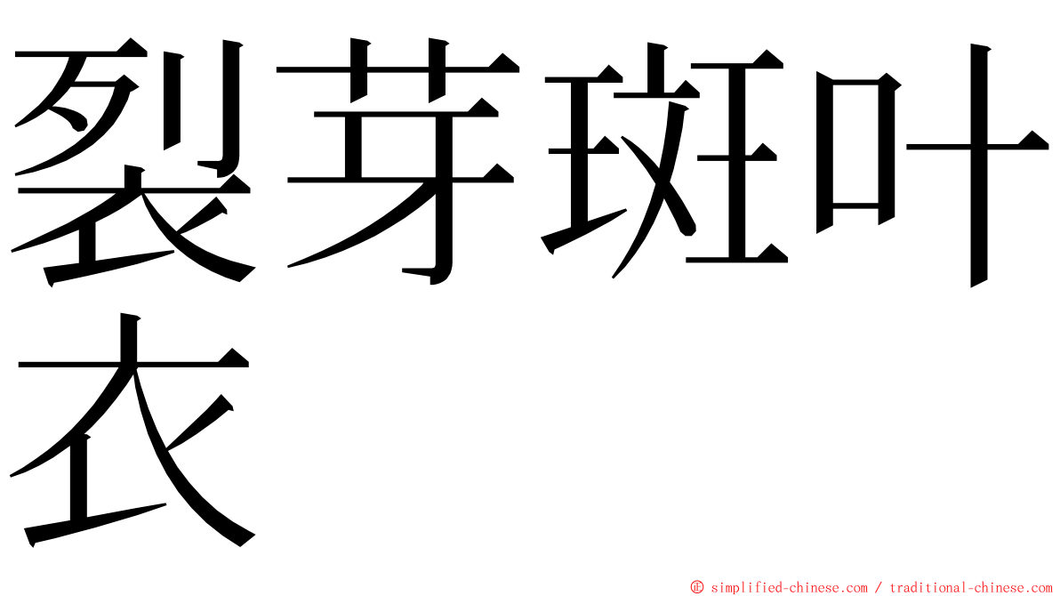 裂芽斑叶衣 ming font