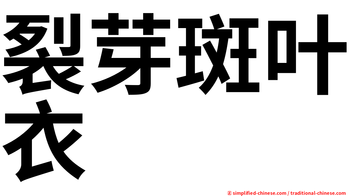 裂芽斑叶衣