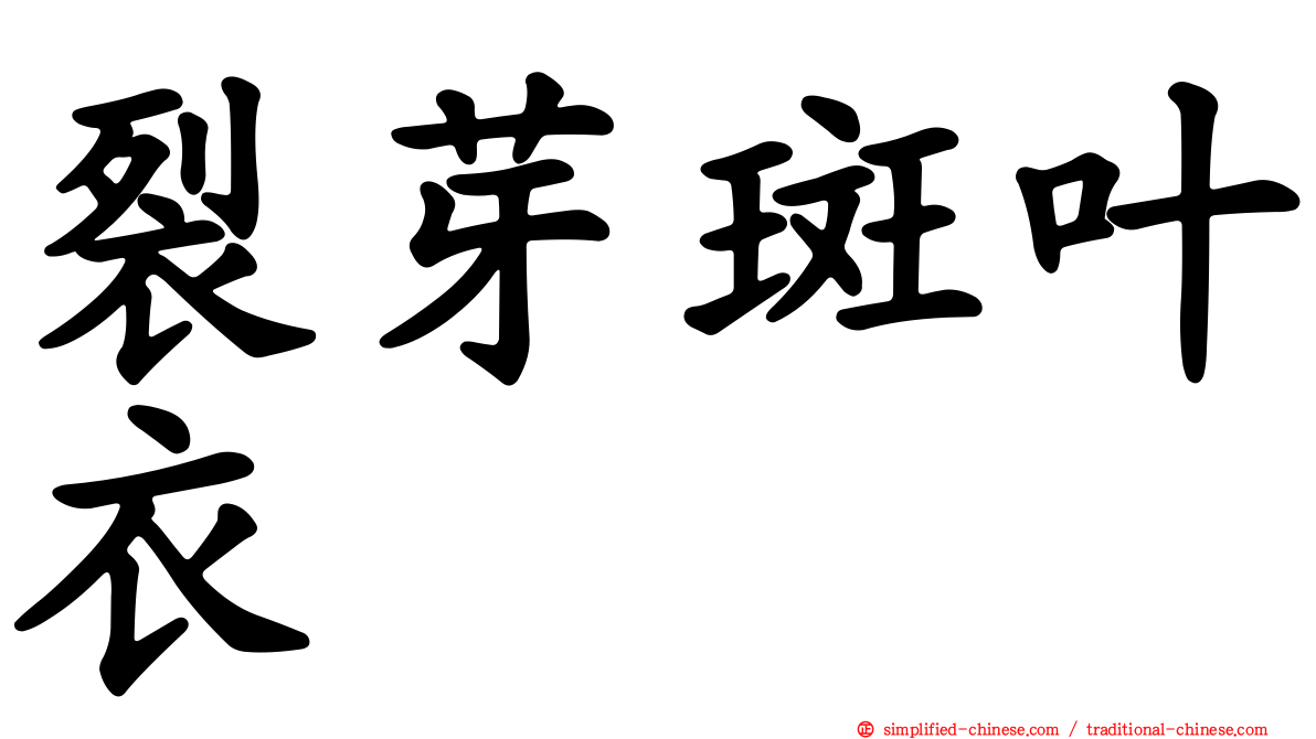 裂芽斑叶衣