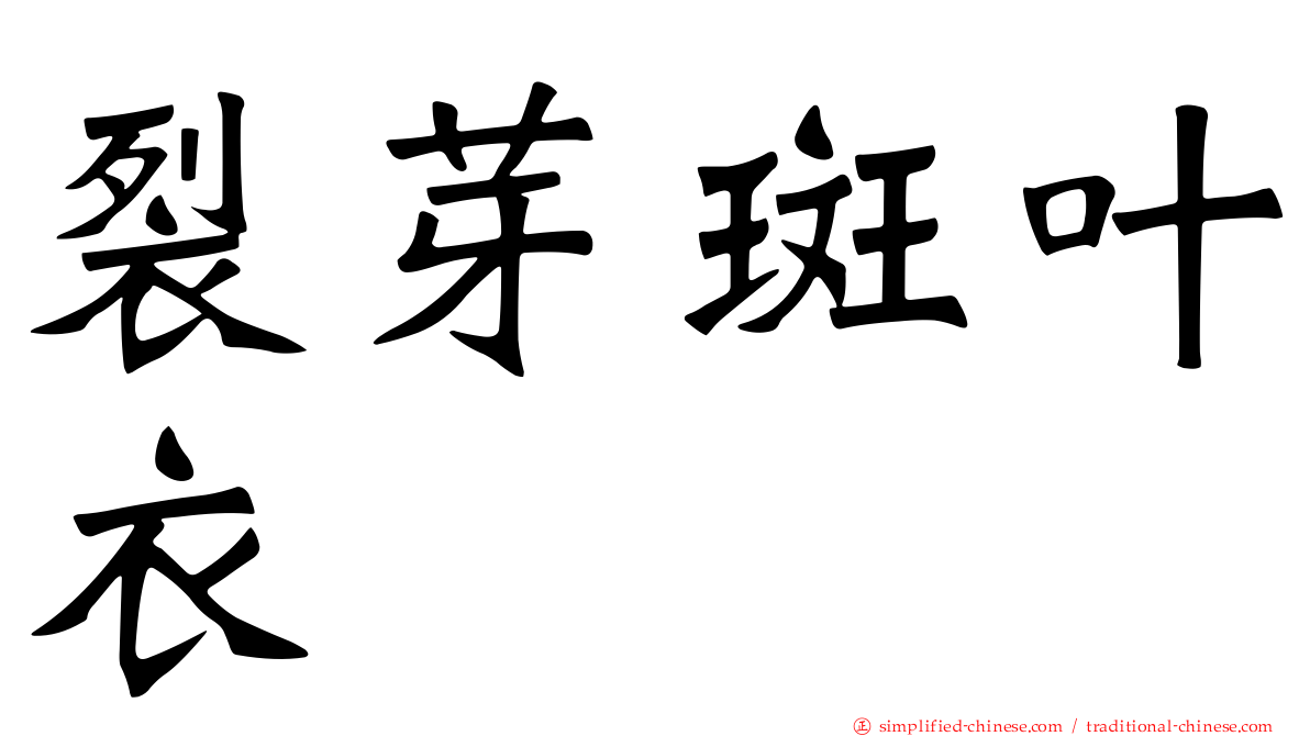 裂芽斑叶衣
