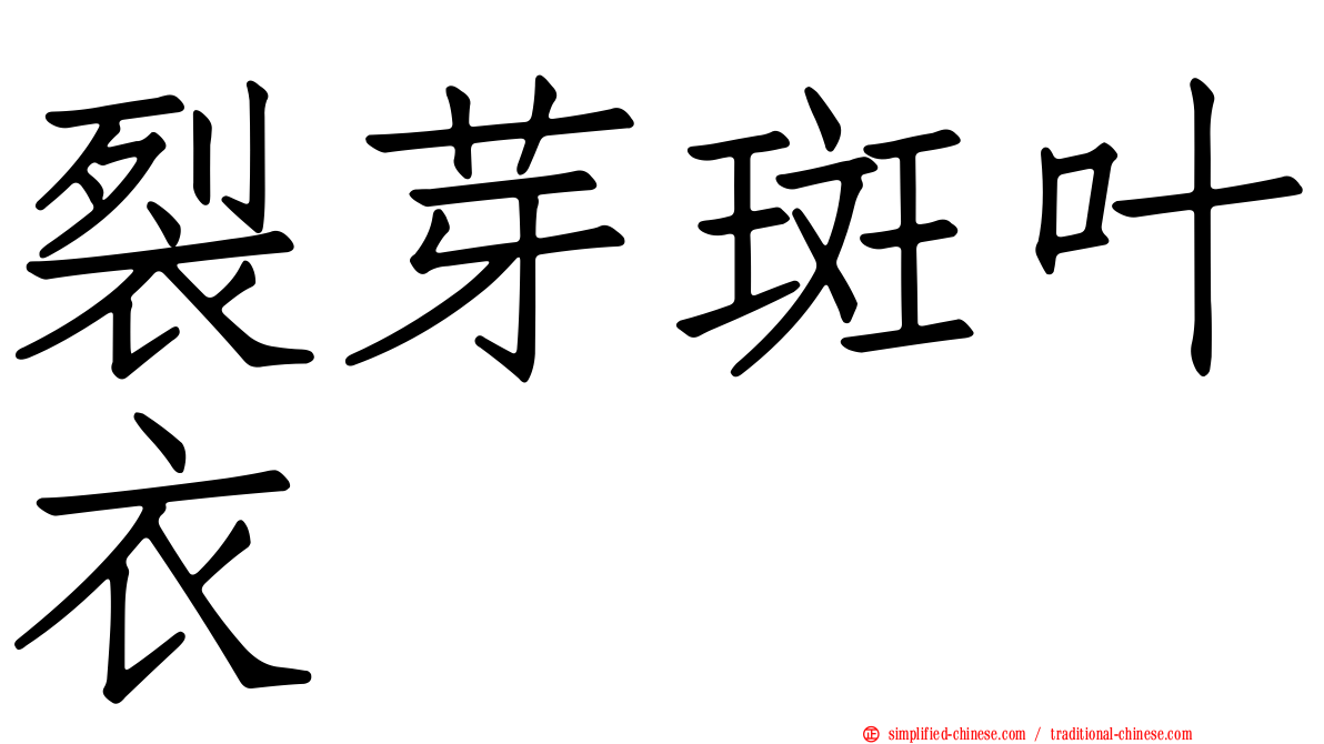 裂芽斑叶衣