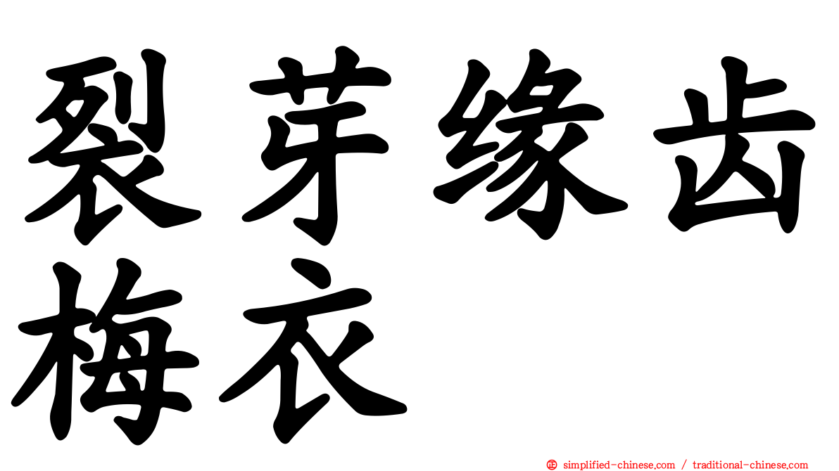 裂芽缘齿梅衣