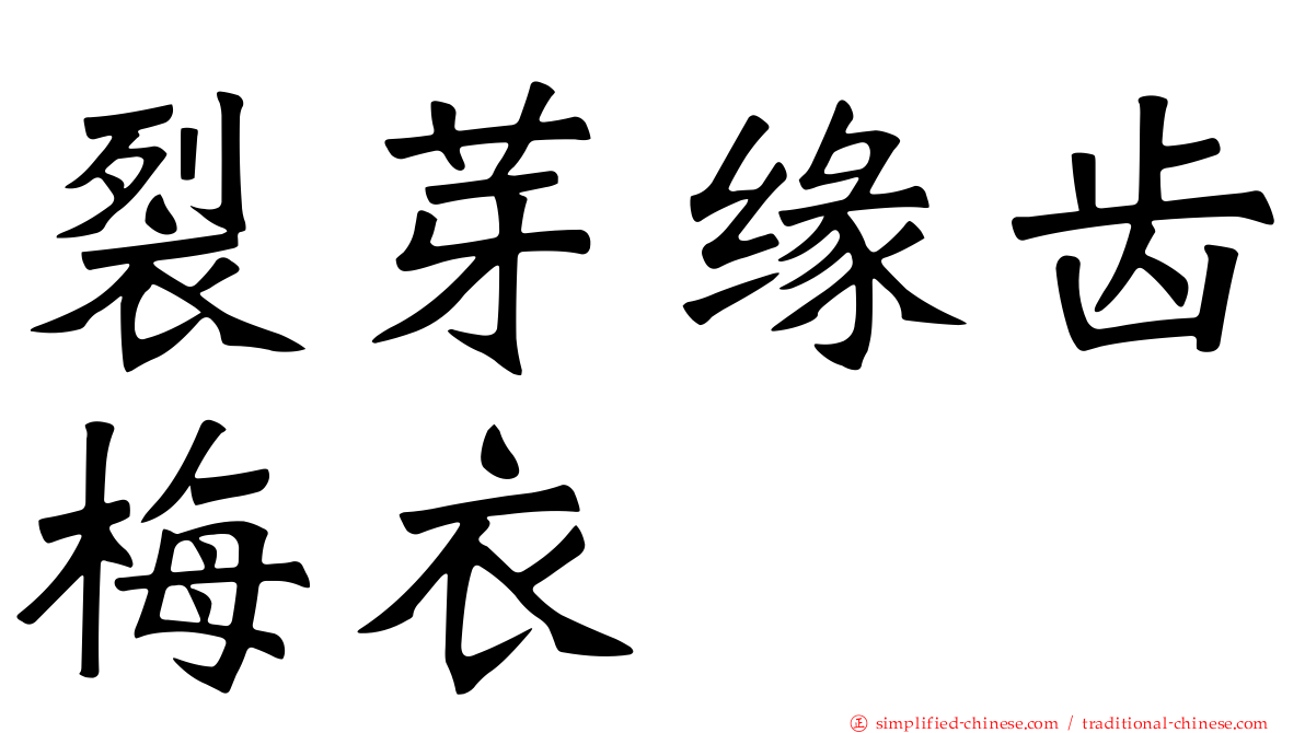 裂芽缘齿梅衣