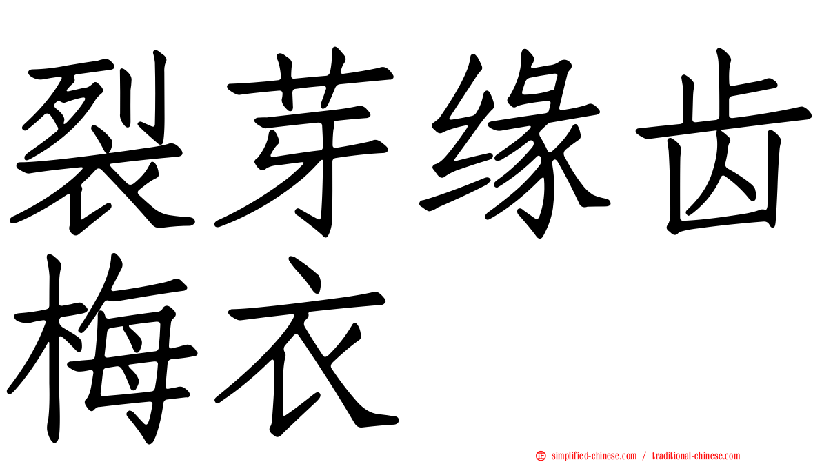 裂芽缘齿梅衣