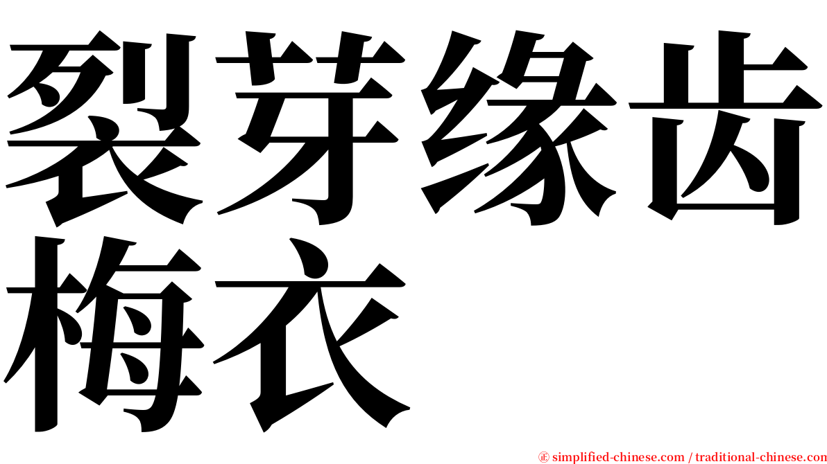 裂芽缘齿梅衣 serif font