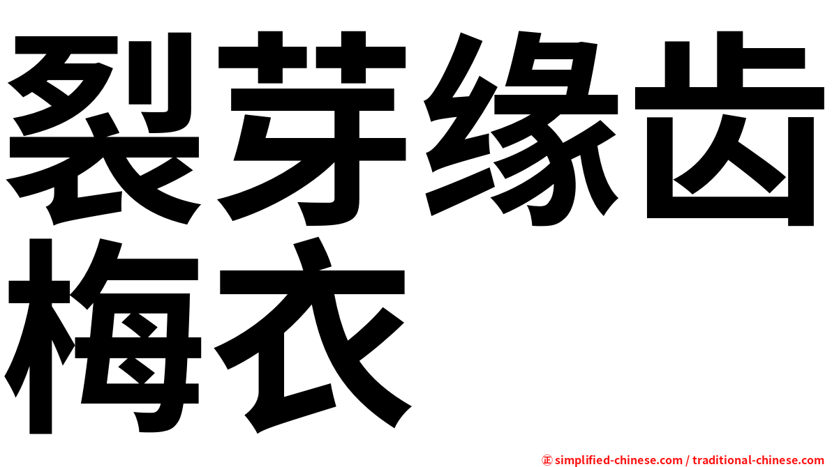 裂芽缘齿梅衣