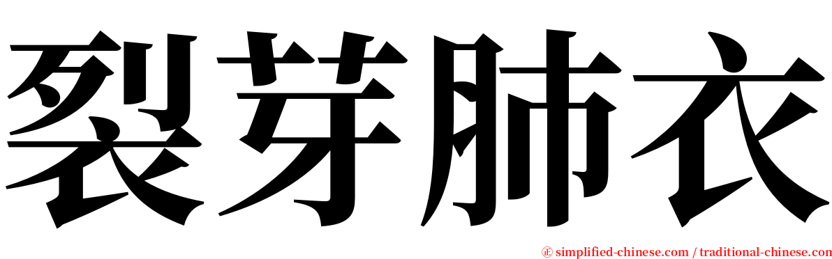 裂芽肺衣 serif font
