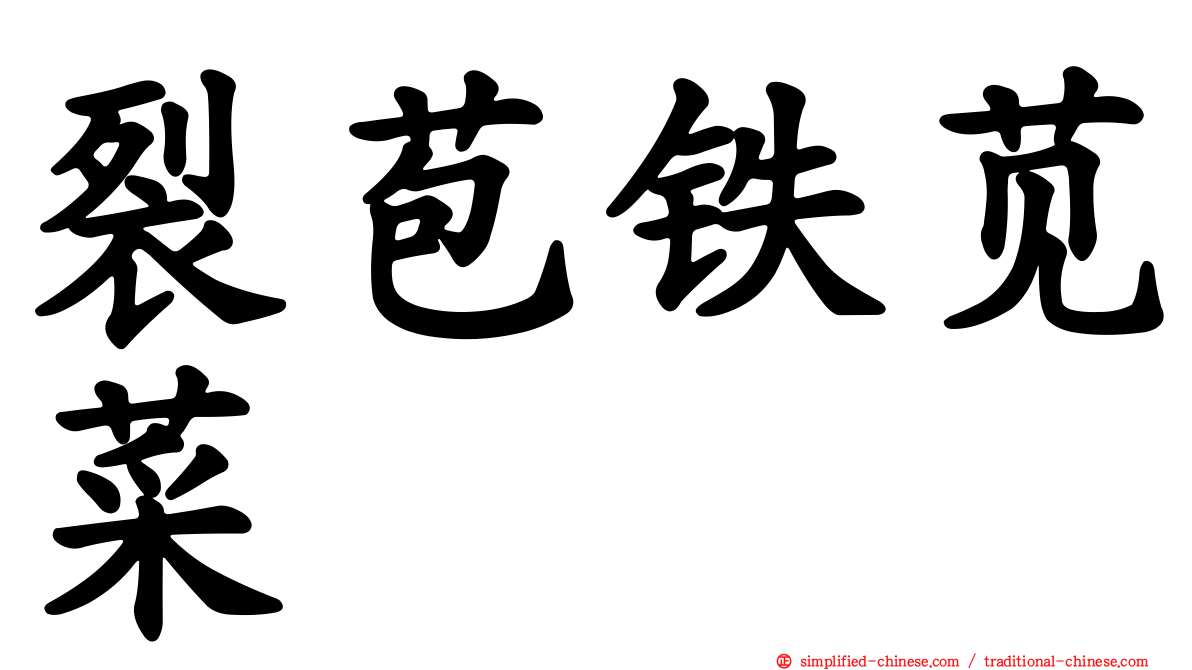裂苞铁苋菜