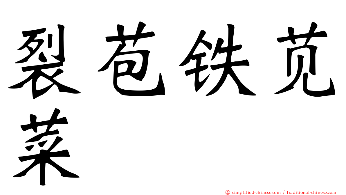 裂苞铁苋菜