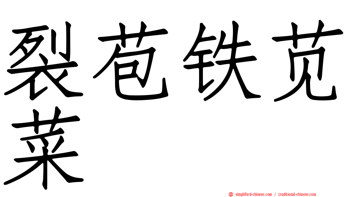裂苞铁苋菜
