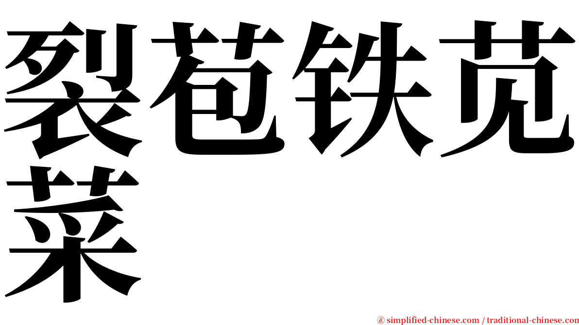 裂苞铁苋菜 serif font