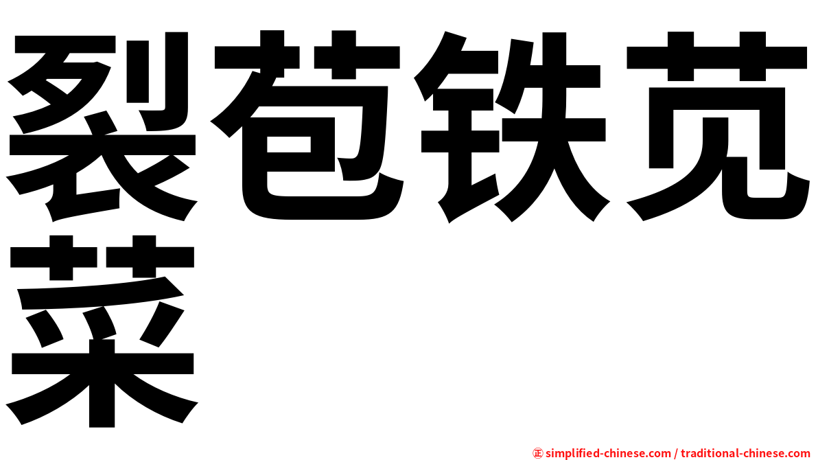裂苞铁苋菜