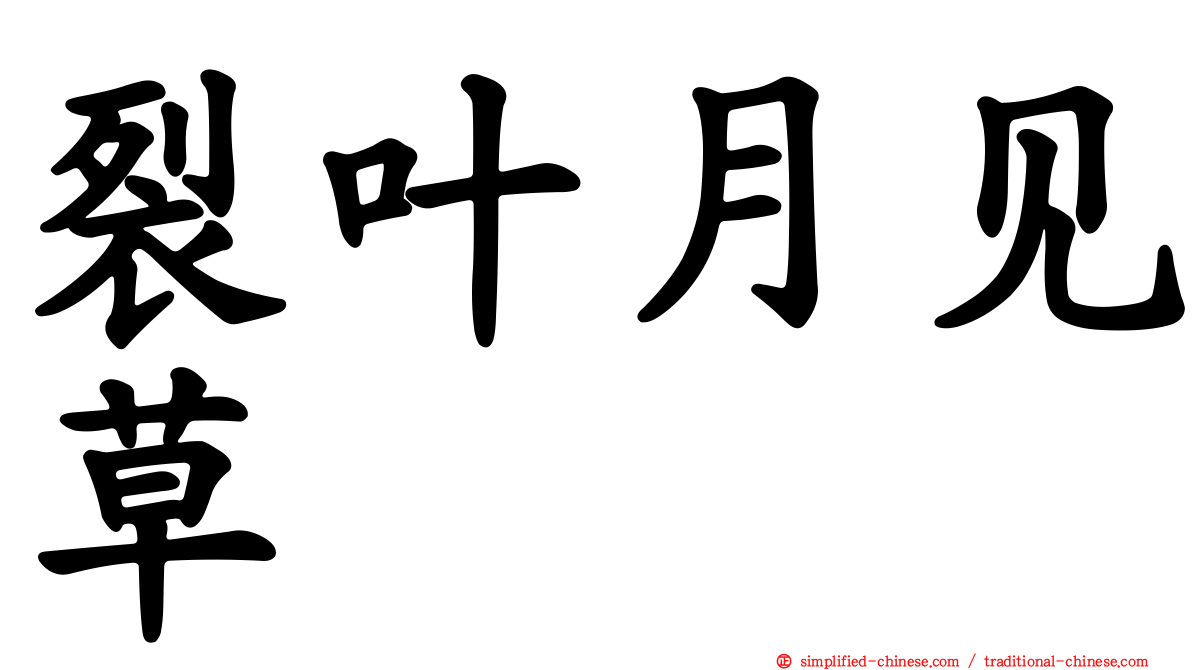 裂叶月见草