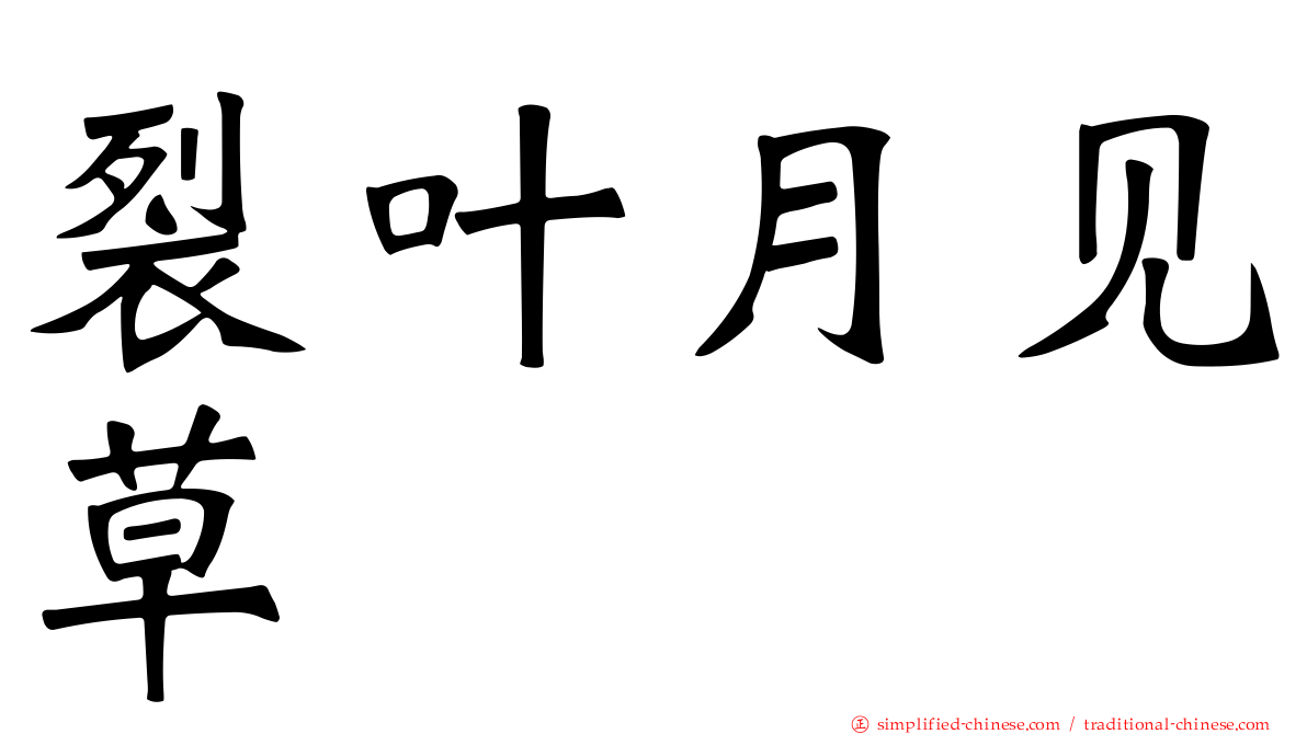 裂叶月见草